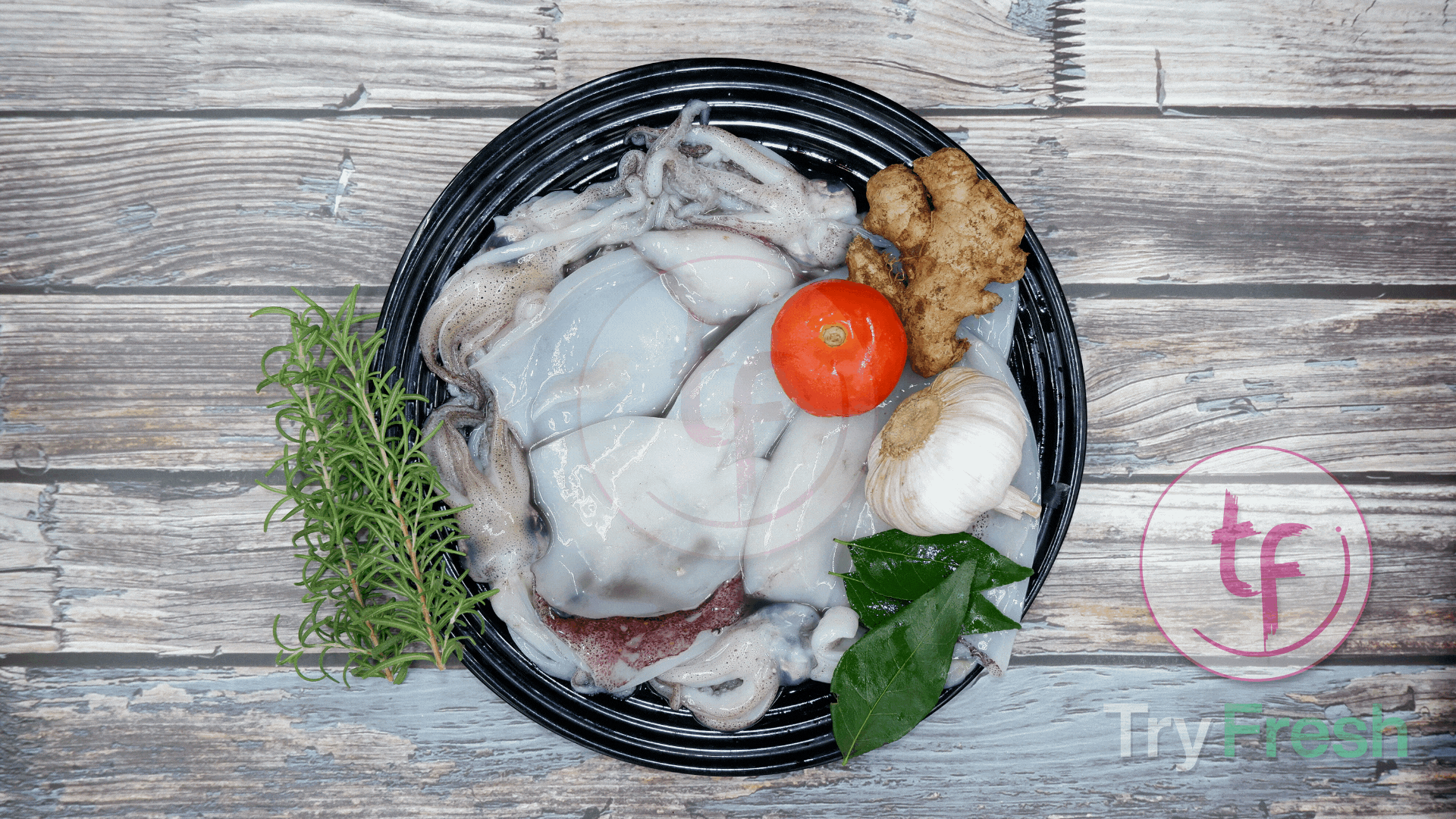Kanava / Squid (B) | கனவா