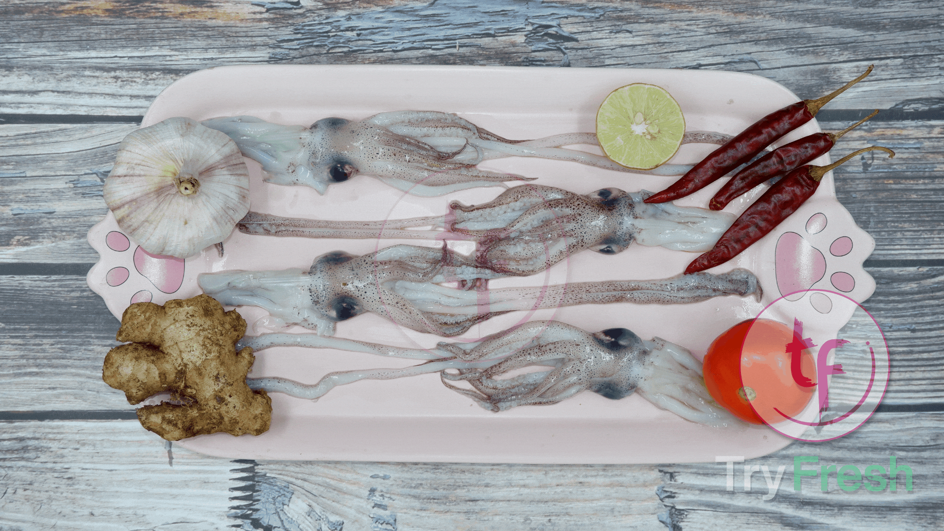 Kanava / Squid (Small) | கனவா