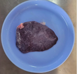Mutton Spleen (2pcs) | பள்ளு குத்தி