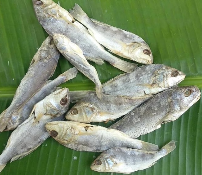  ( Medium ) panna karuvadu